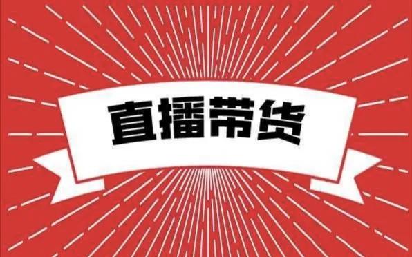 直播卖货怎么做(运作流程和技巧分享) - 免费seo诊断咨询_【seo顾问提