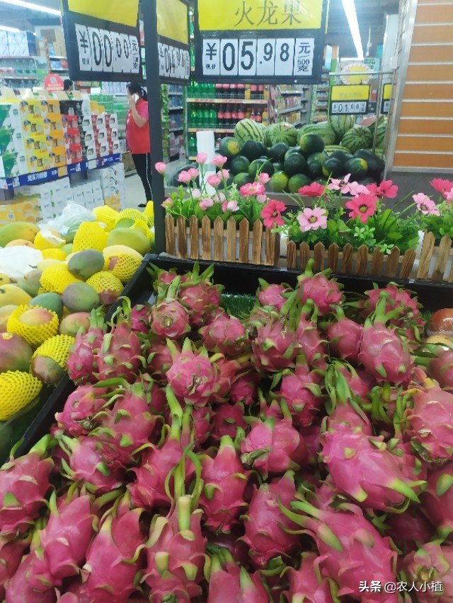 想知道市面上热销的水果价格吗？这里统统告诉你