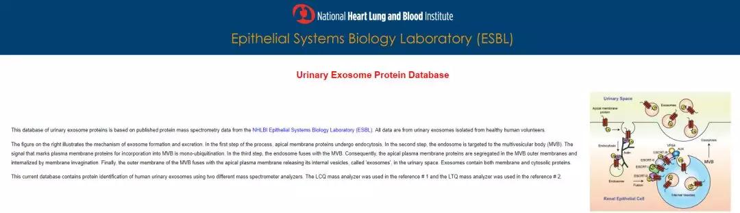 8大外泌体数据库，值得收藏