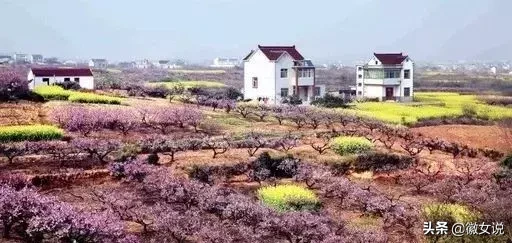 当涂县属于哪个市(当涂县的历史概述)插图29 马鞍山当涂,曾统领芜湖500年