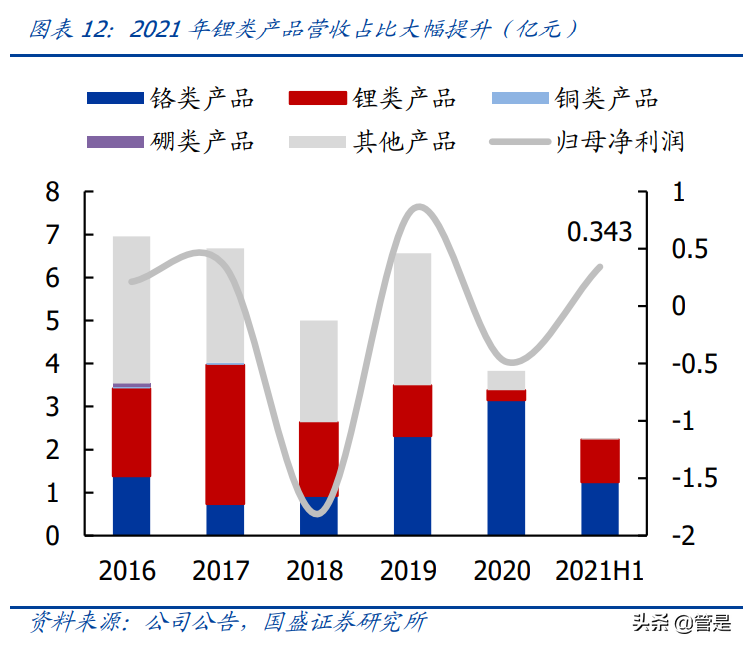 西藏矿业专题报告：西藏盐湖提锂先驱，宝武赋能开启新格局