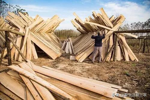 除了种养业，农村还有什么赚钱好门路？试试这些好项目吧