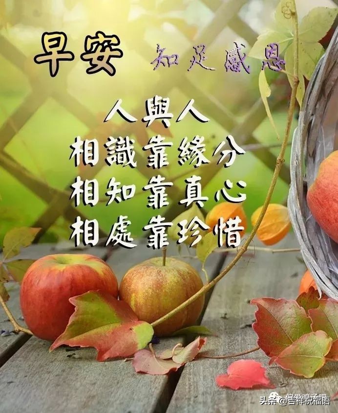 早上好动态图片带字和鲜花 早上好图片大全图片
