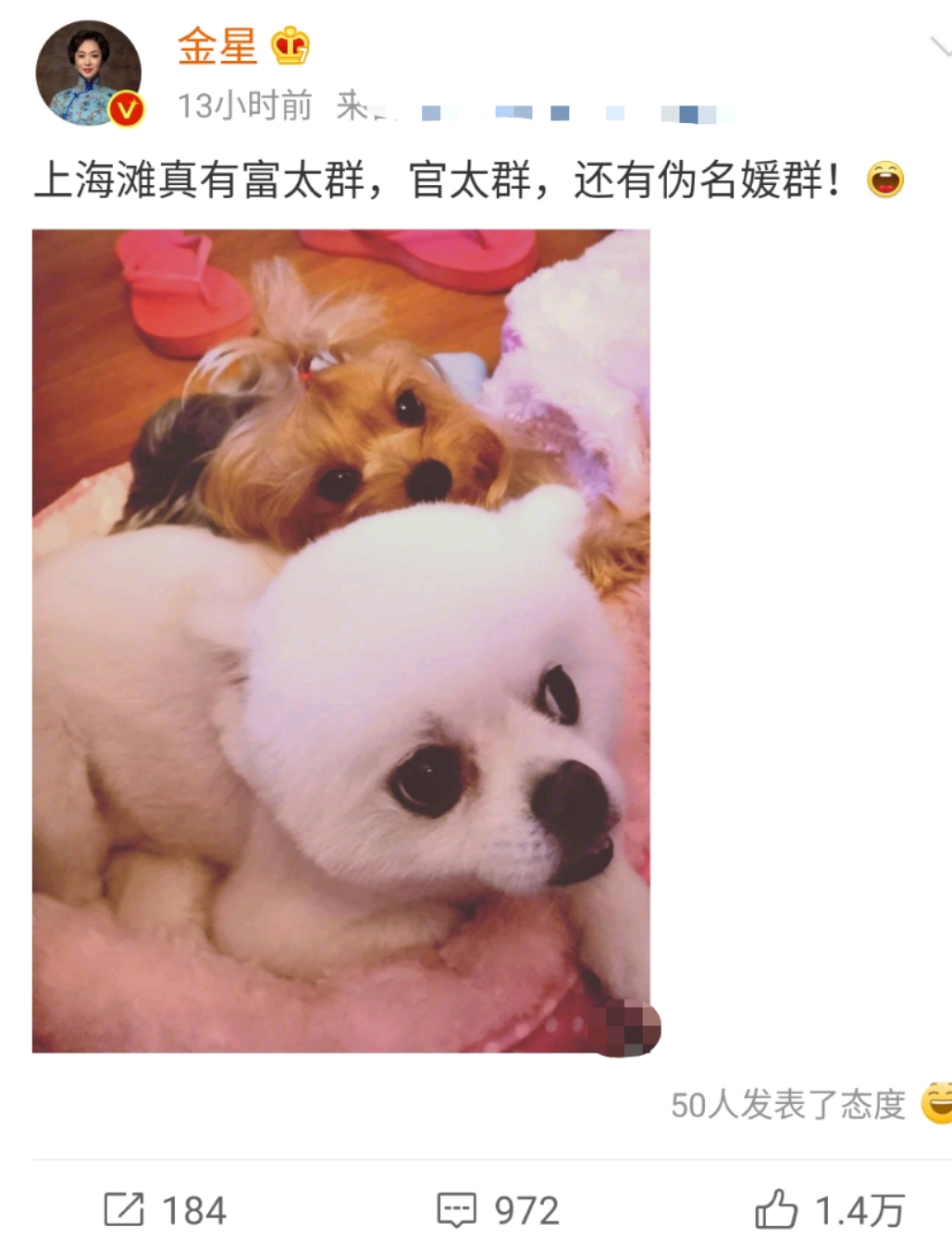 "伪名媛"内幕曝光!二手丝袜都要拼单购买,金星发文嘲讽太犀利