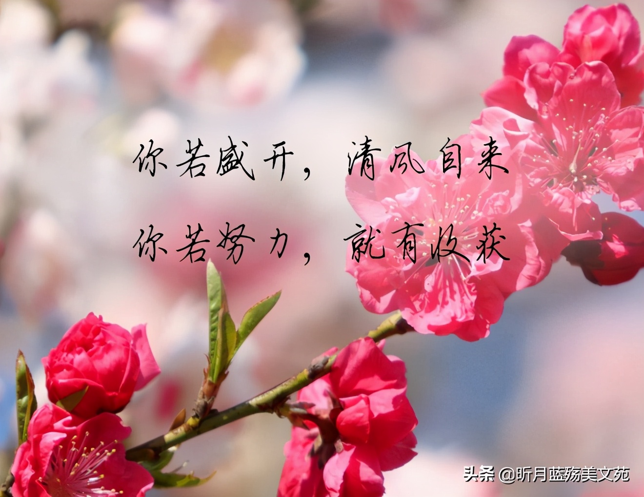 2021再见二月 你好三月说说图片