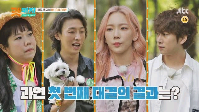 金希澈發言被遺棄動物協會批評：這樣做是把流浪狗趕到死角地帶