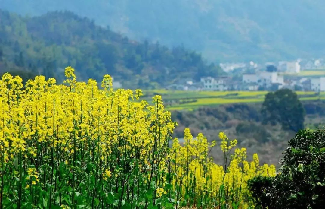 10 places that are most suitable for a person to travel, one every year, OK?
