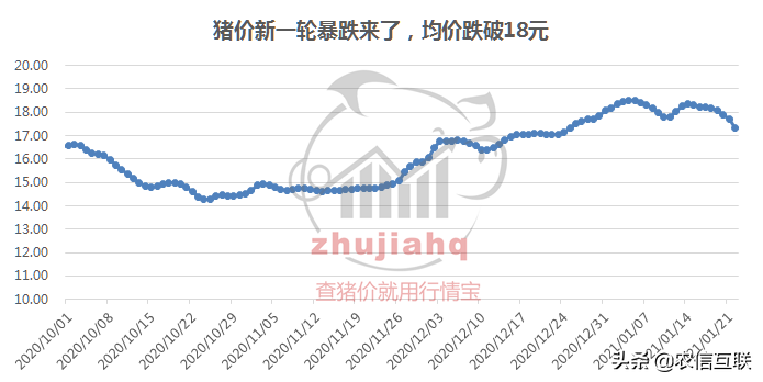 猪价塌方式大跌8天，肉价也要跌？为何突然涨1块？最新猪价预测