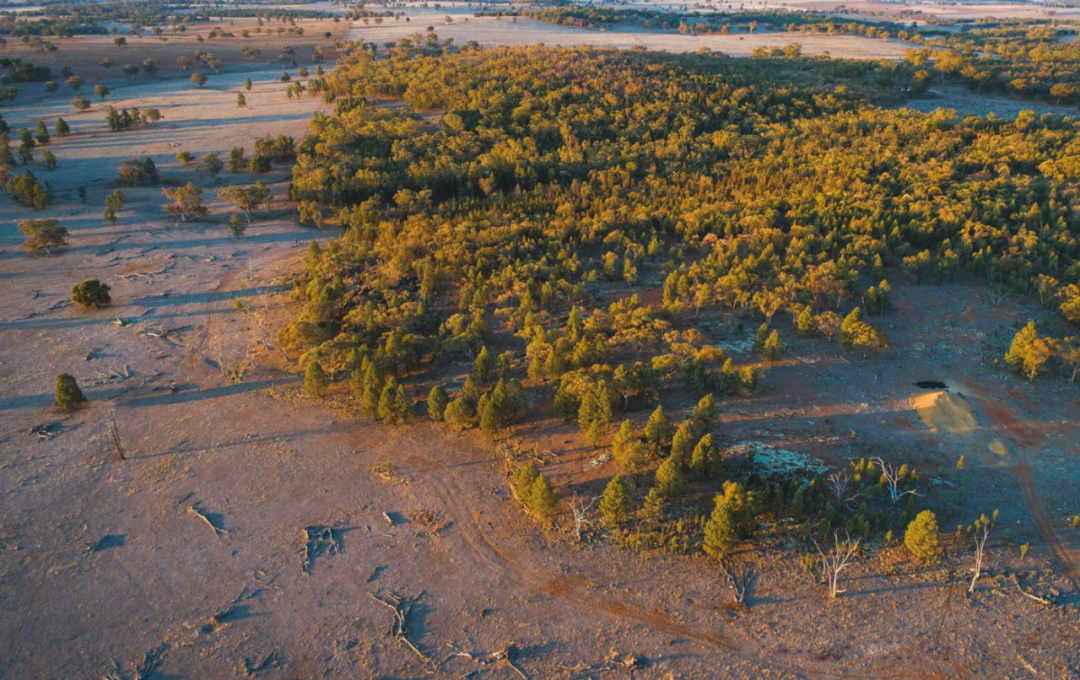 疫情影响下的全球矿业市场动向之四：主要国家矿业政策对市场影响