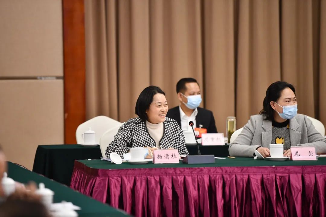 ​怀化代表团举行第六次全体会议