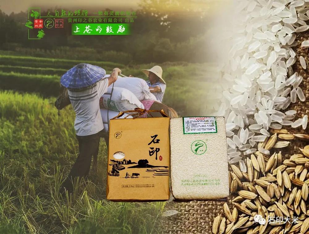贵州好物产 敖溪石印大米---大自然的馈赠 一颗有灵魂的稻米