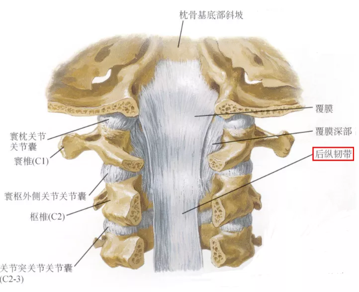 小心误诊，这可不是单纯的椎间盘突出