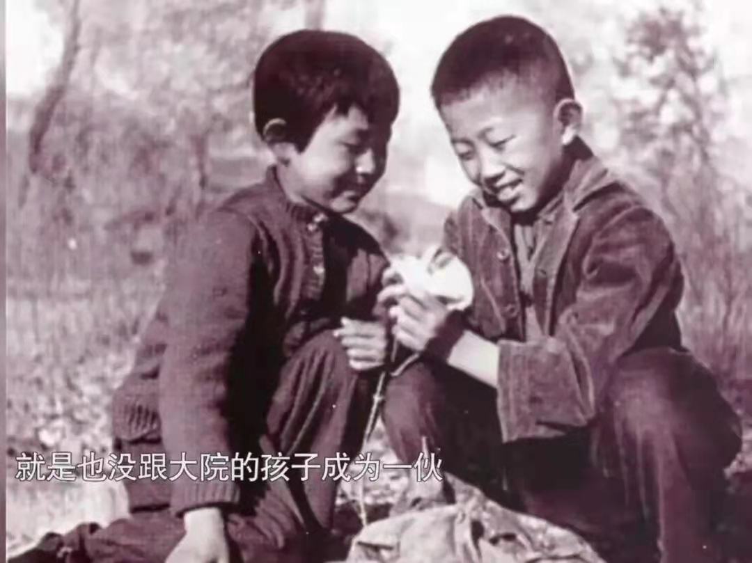 “人间异类”陈瑾：20年不吃米饭，不结婚不生育