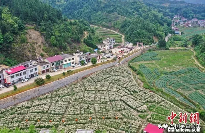 极简版！50句话回顾2020“特殊”两会