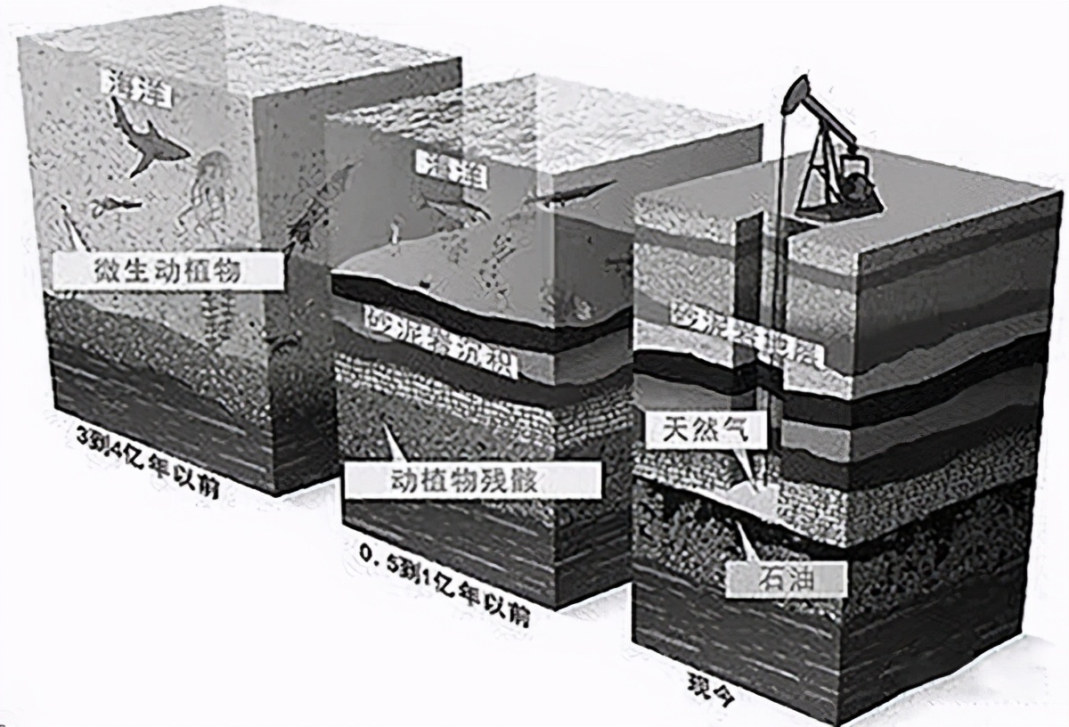 石油枯竭是骗局？地球碳储量有1.5亿亿吨，哪来这么多生物尸体