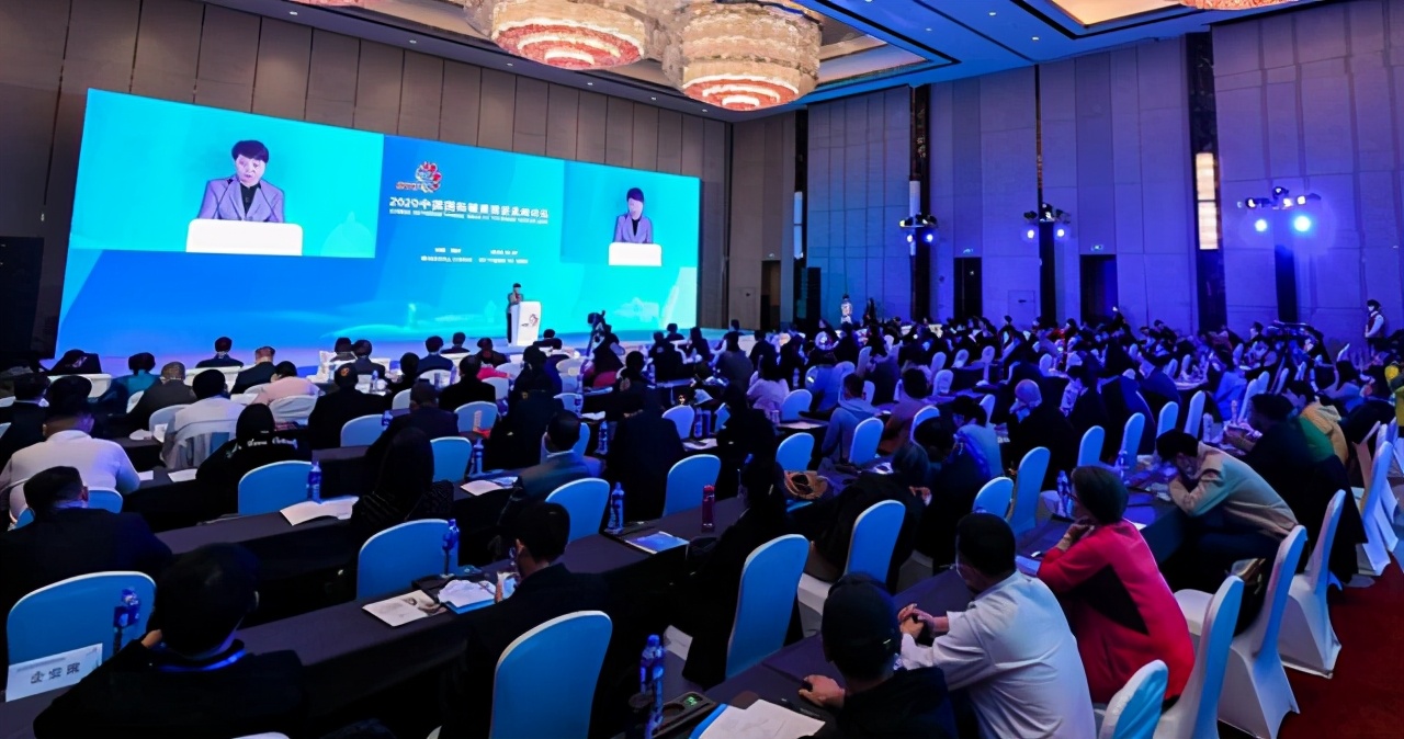 2020中国国际健康旅游高峰论坛在亳州举办