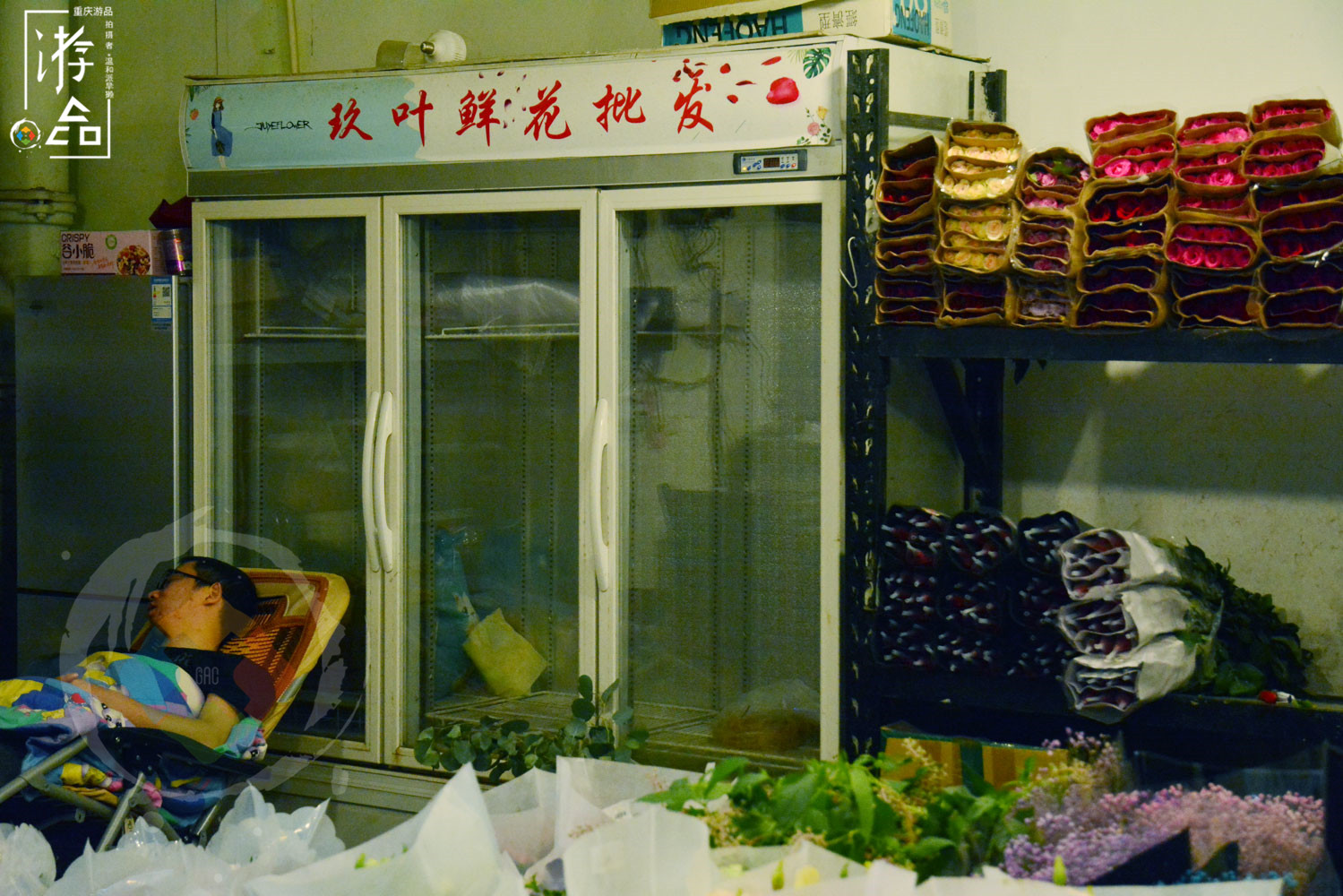 “漂在”重庆码头边的花市：位置偏僻环境差，但价格是主城最低的