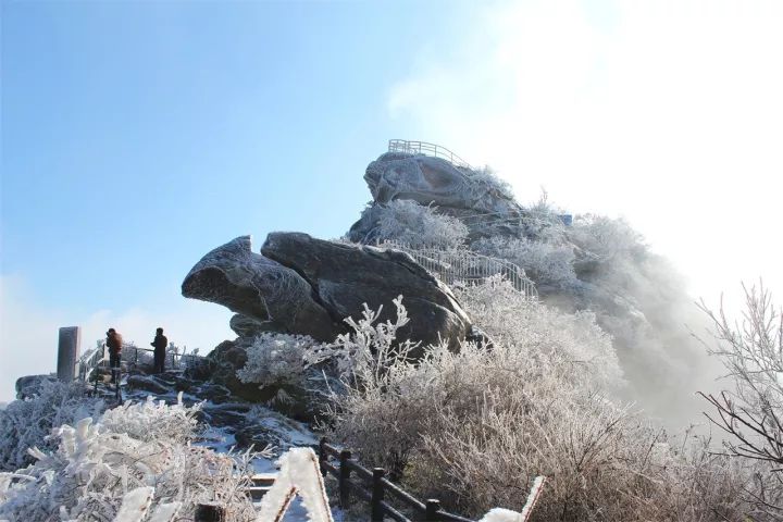 「鸡公山旅游年卡」一卡在手，全年畅游，随买随用