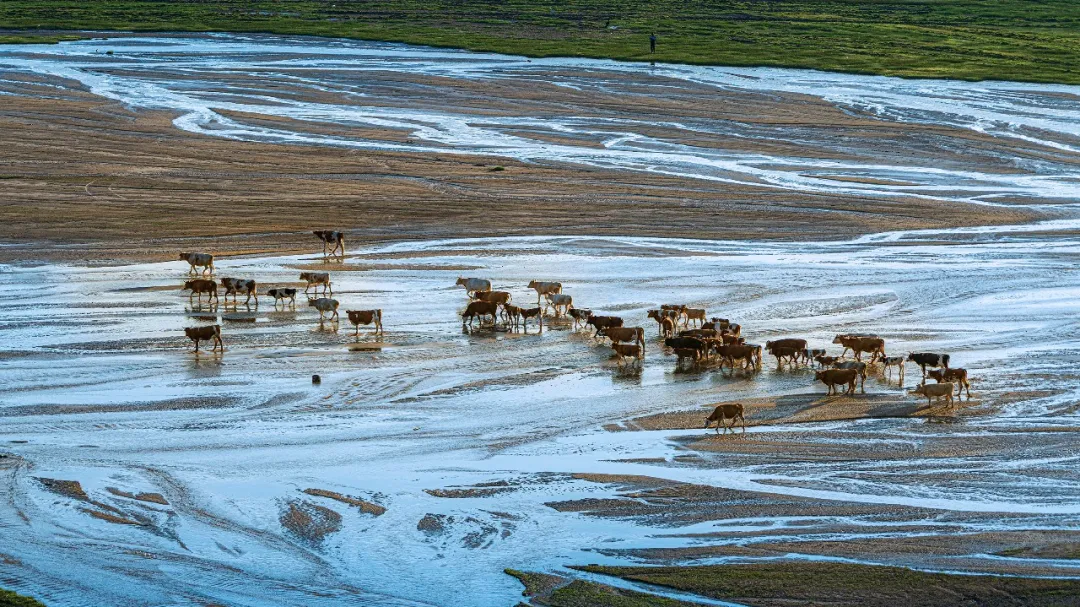 Chifeng, Inner Mongolia, northeast or north China?