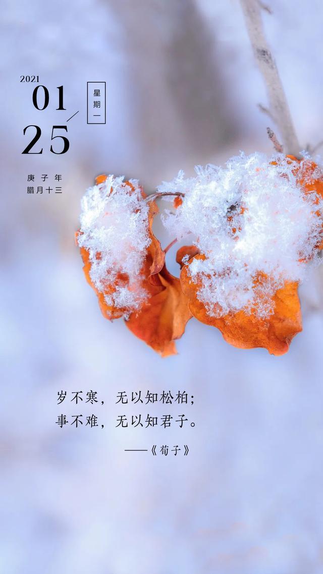 微信|新的一周微信早安心语配图片励志，正能量问候早上好句子共勉