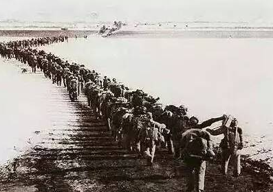 1951��־Ը����������׶����������������Զ�����ĳ���