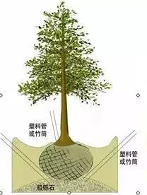 园林植物栽植养护十八问（实用技术要点）