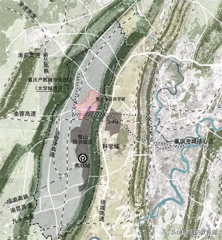 重庆中医药学校，2025年建设成为全国领先的中医药大学