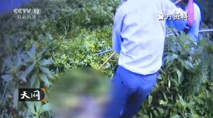 大案纪实：消逝的值班室门卫