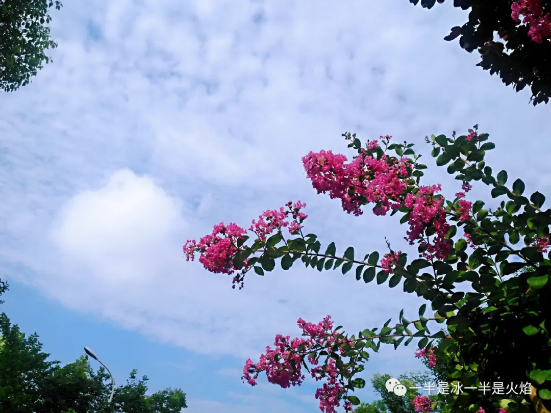 散文诗：夏天，或者雨-第2张图片-诗句网