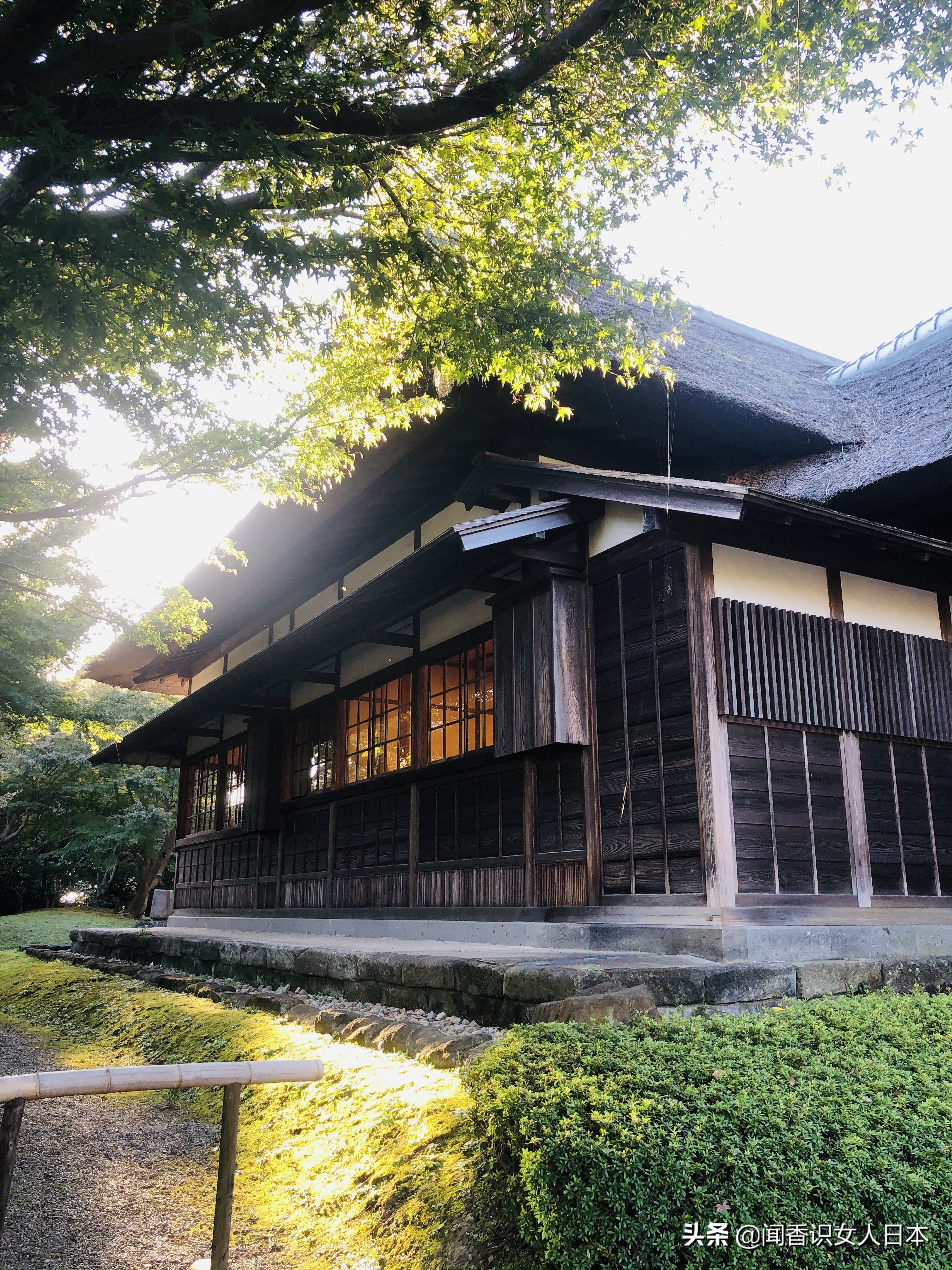 橫濱三溪園一代實業家打造的日式庭園 17座建築來自京都和鎌倉 中國熱點