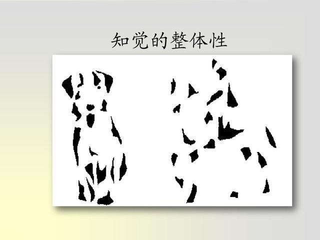 “曼德拉效應”越發明顯，咱被集體篡改記憶？還是因為平行宇宙？