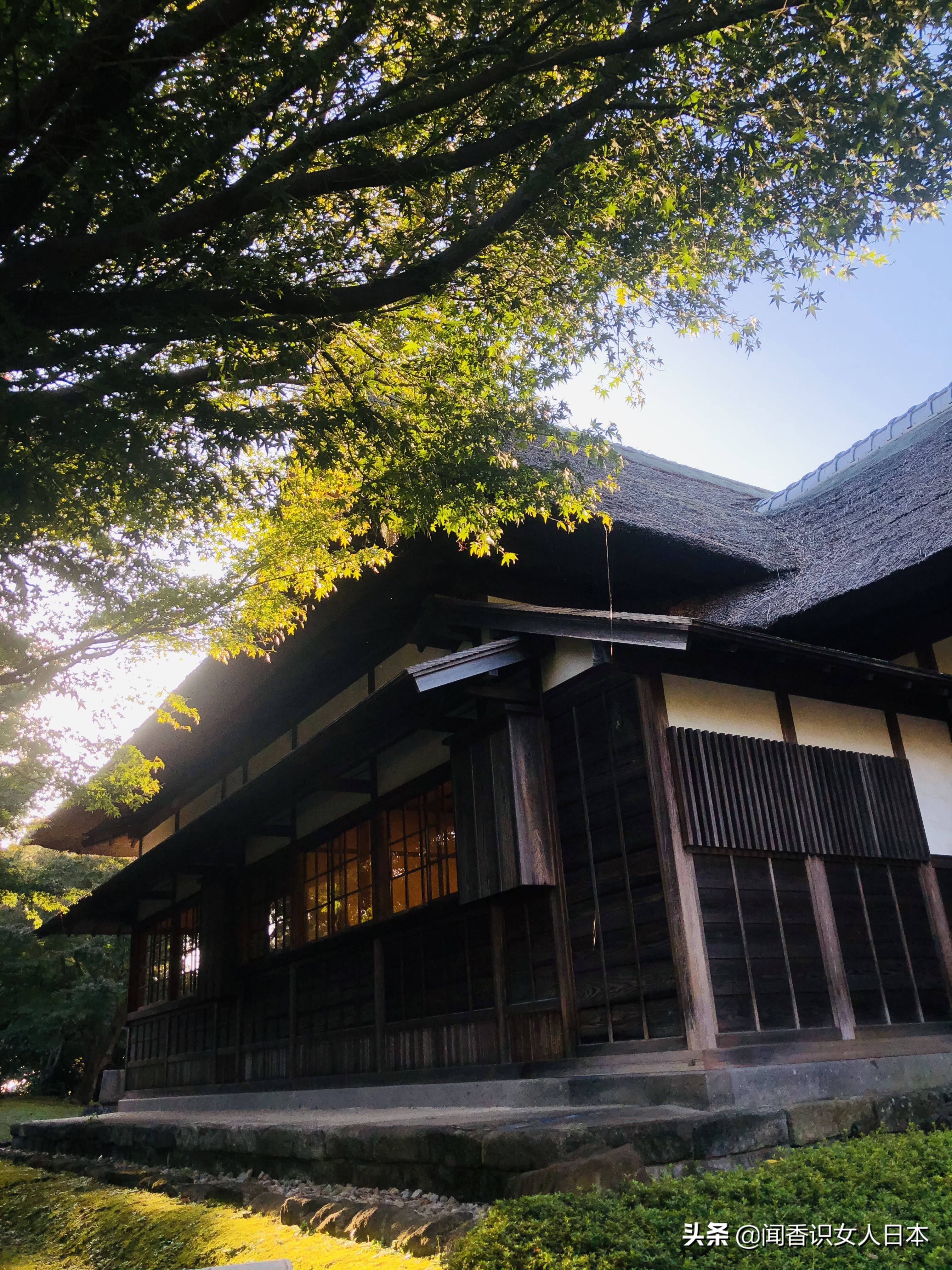 橫濱三溪園一代實業家打造的日式庭園 17座建築來自京都和鎌倉 中國熱點