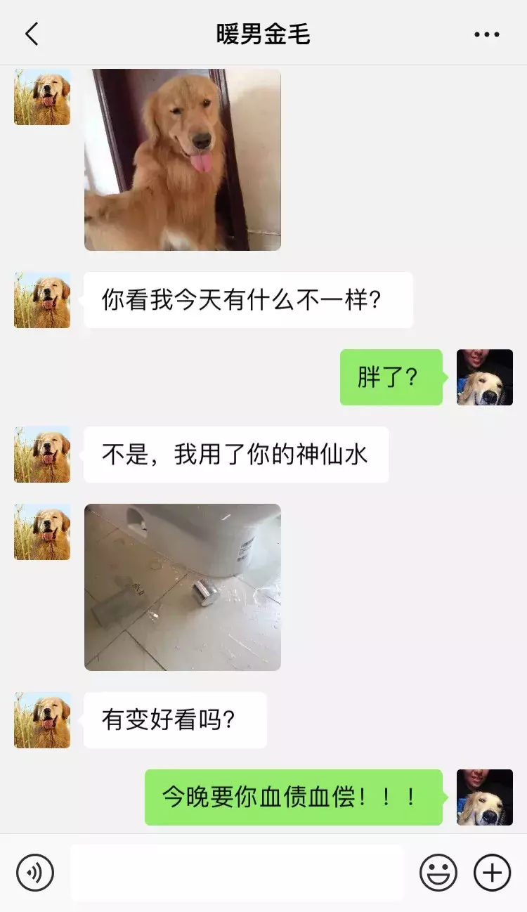 笑屎了！這些狗狗的聊天記錄，承包了我一周的笑點