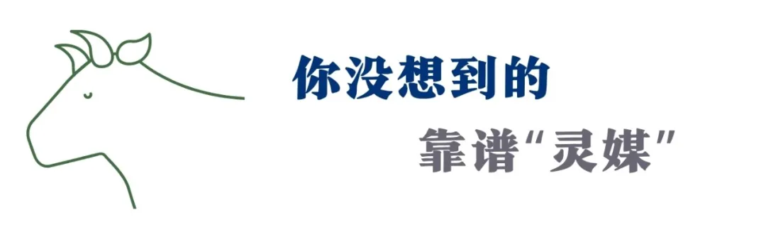 12上升的治愈禀赋都在哪？这个星座踏实的疗愈力，比双鱼还靠谱