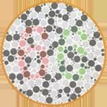 16张色盲色弱测试图，从简单到困难，你能做到第几张图