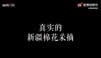 Support Xinjiang cotton, mom has an attitude! Our child, be in cotton of Xinjiang of benefit from benefit from