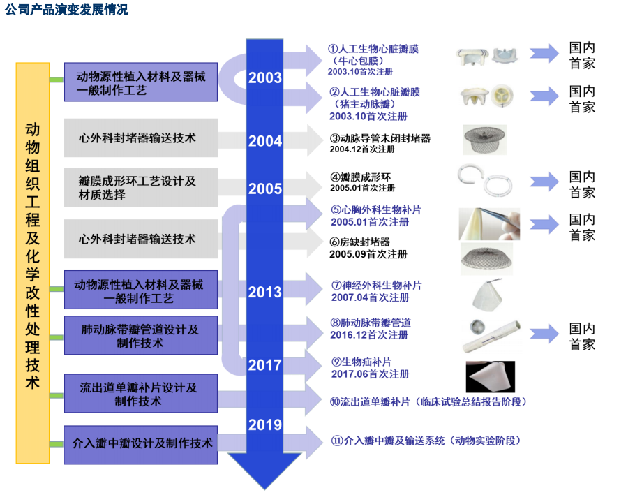 黄金细分赛道：人口老年化加剧，心脏瓣膜治疗，国产替代正当时