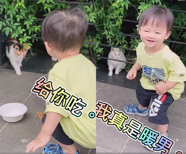 蔡少芬张晋携儿女喂流浪猫，一家五口幸福同框，鱼蛋小奶音超萌