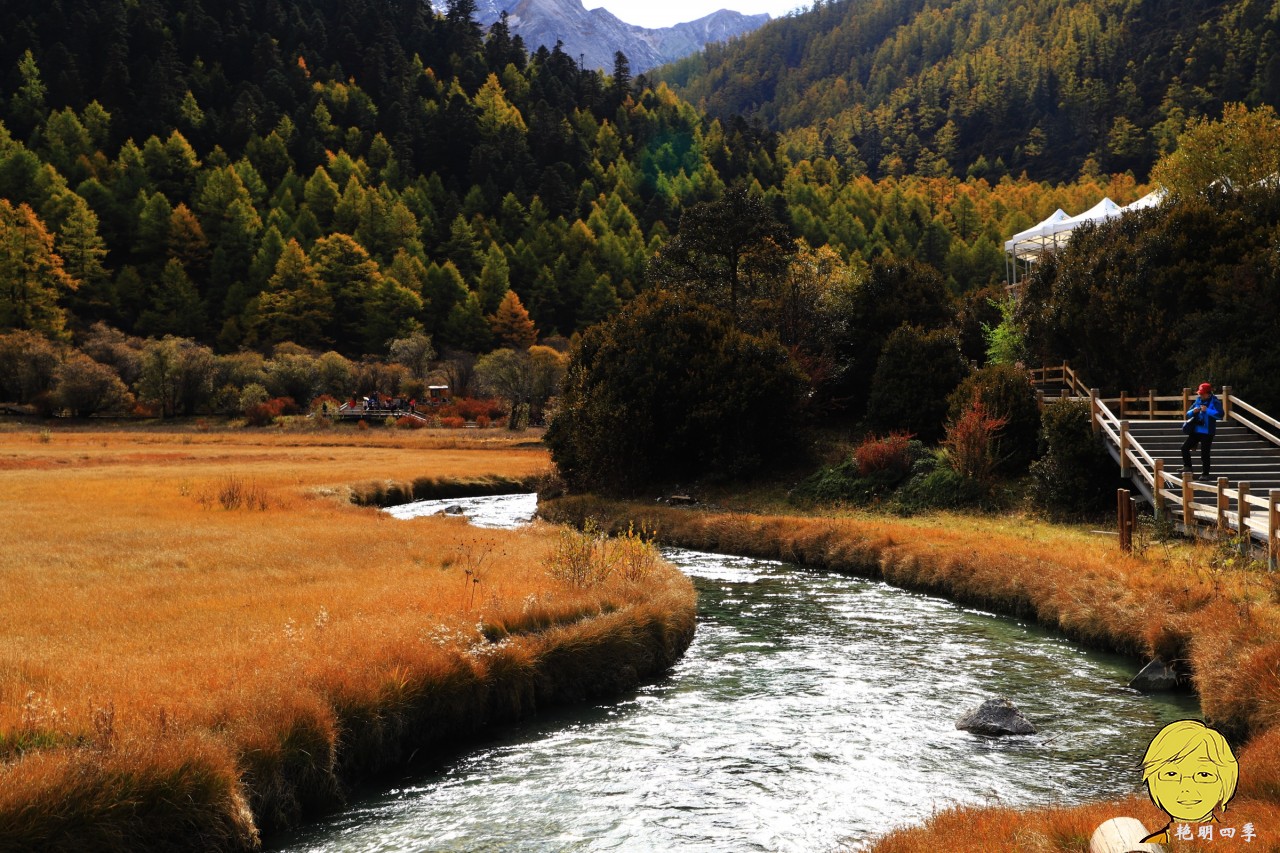 The golden autumn is here again, if you want to go to Aden, Daocheng, you should set off