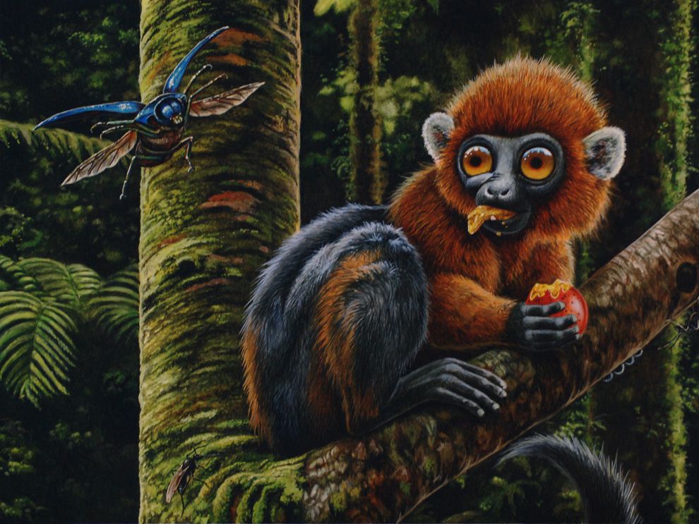 人类进化链上缺失的“过渡化石”被找到，印证