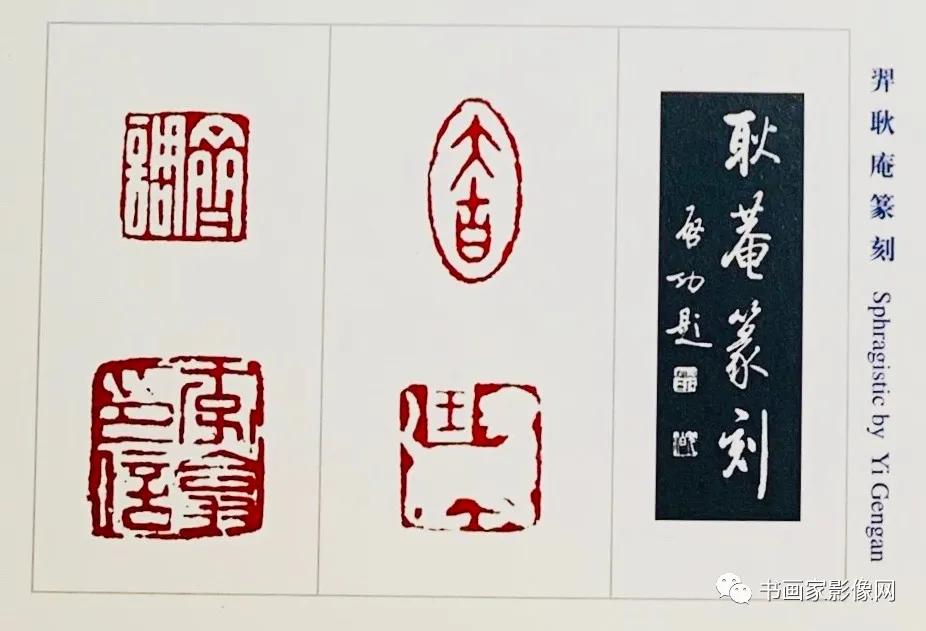 ๢֣鷨ҪĻ
