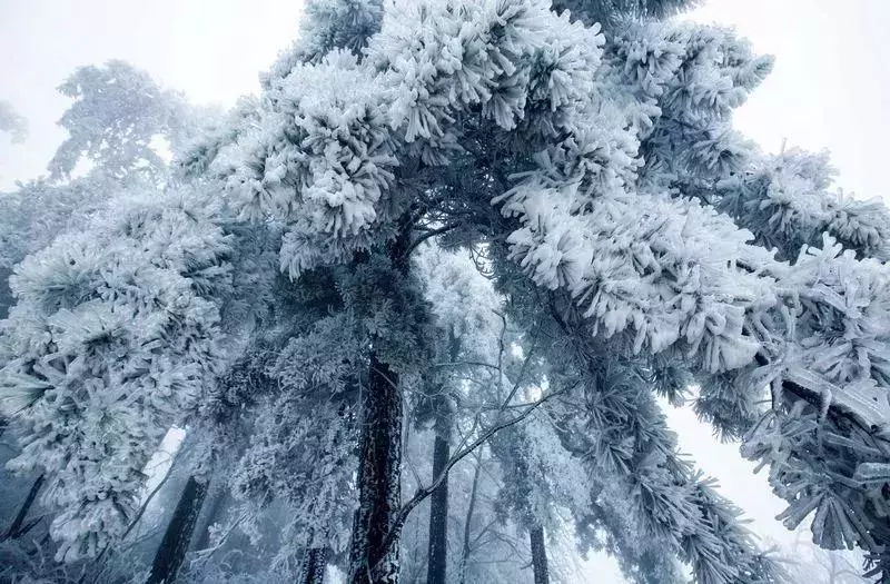 不用去看故宫的雪！钱塘江畔的冰雪霸屏了……美翻了整个江南！