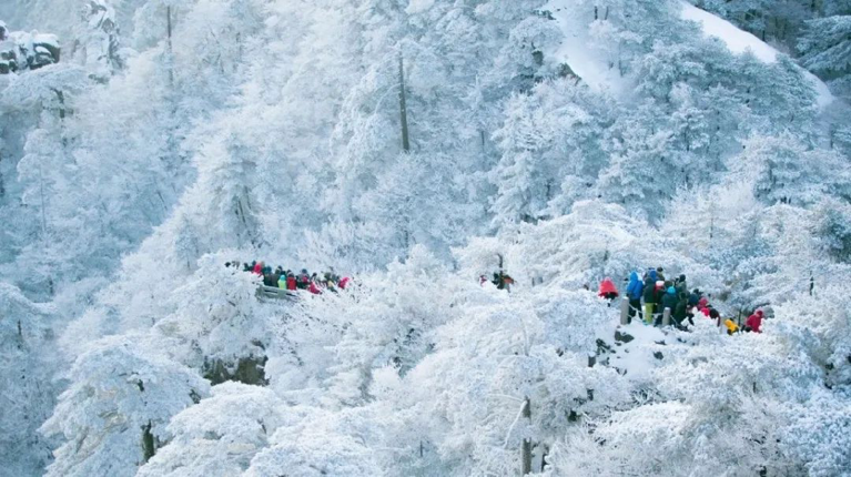 冬雪云海仙境！圈粉半个旅游圈的黄山开撩了