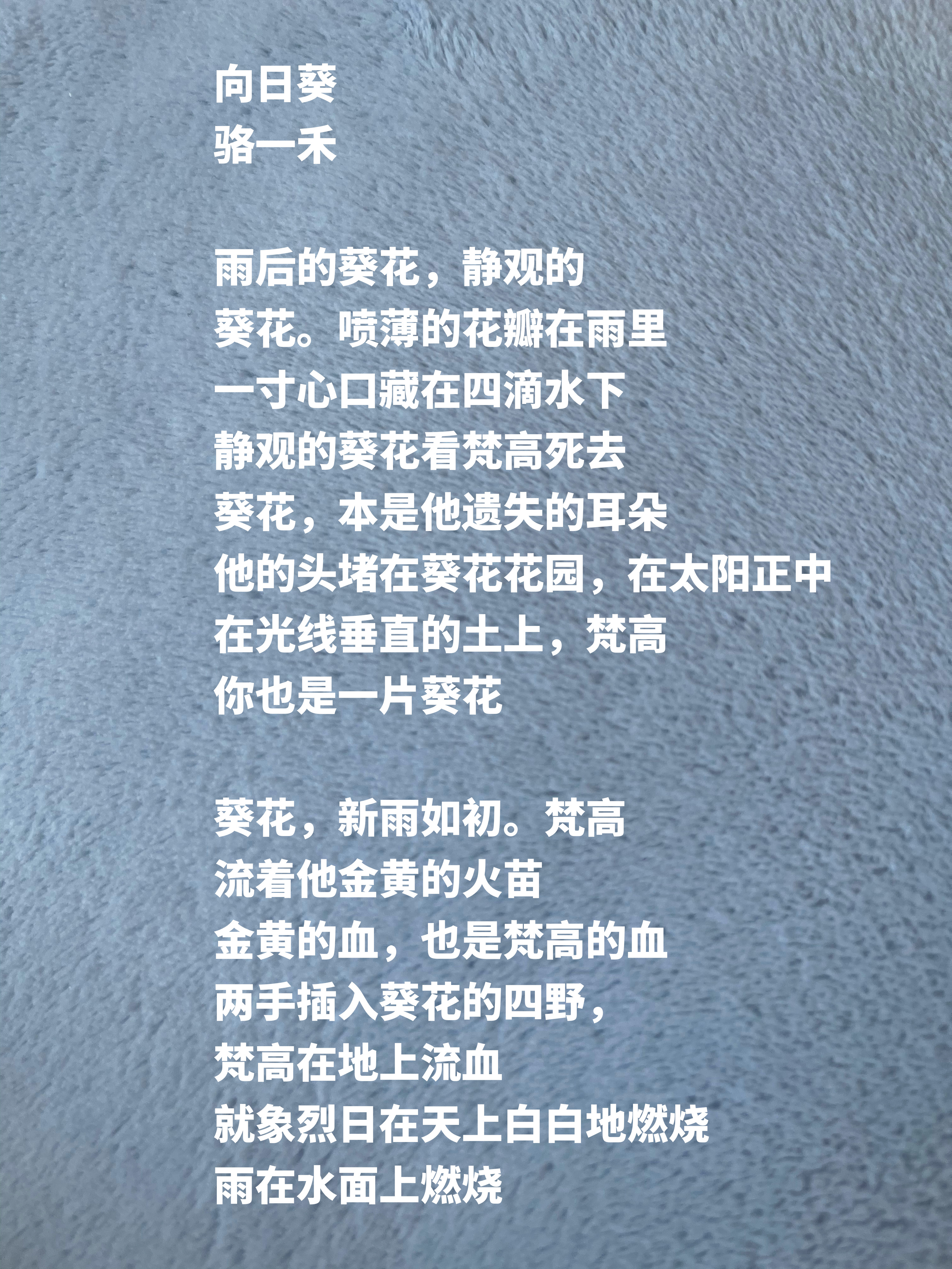 北大才子骆一禾诗作，构想宏大开阔，天地自然震撼心灵-第1张图片-非凡网