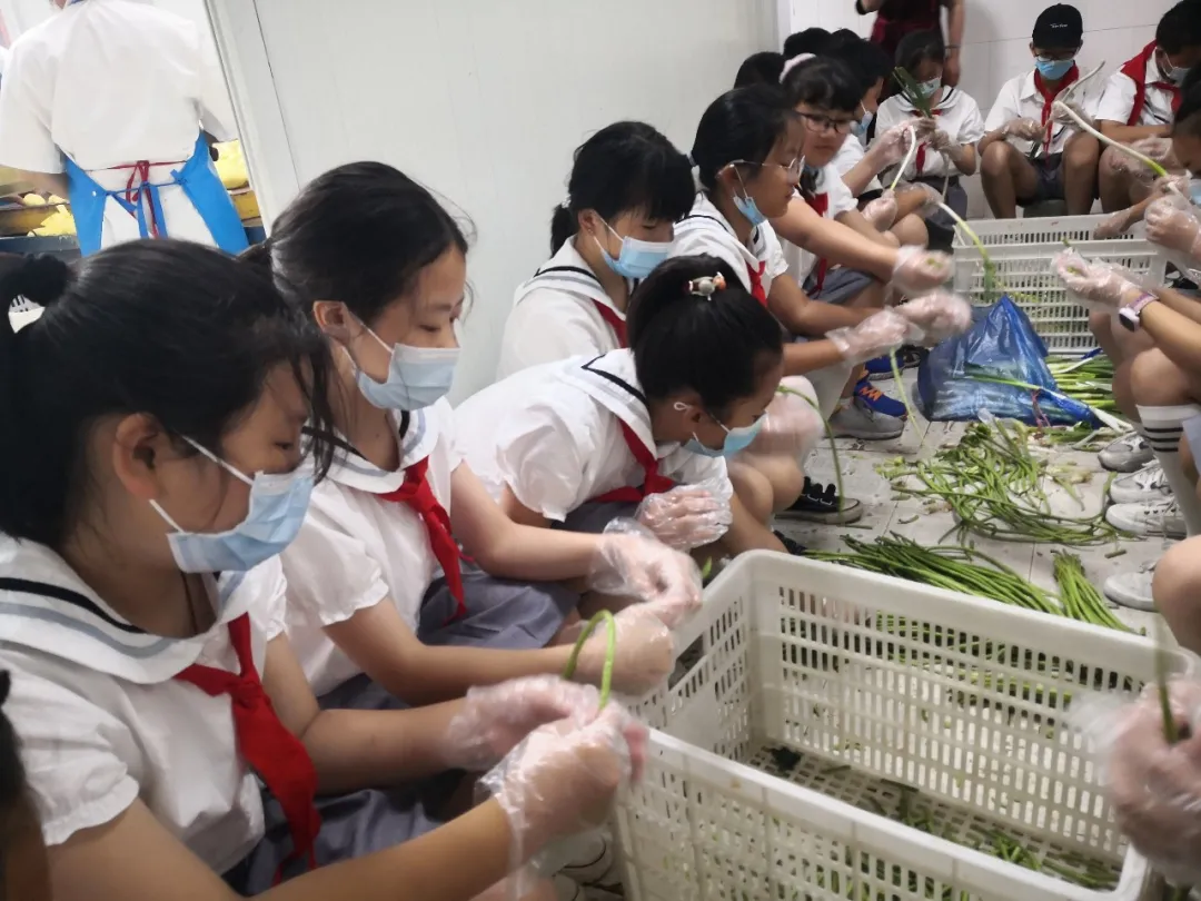 超级小帮手——四川天府新区万安小学劳动教育