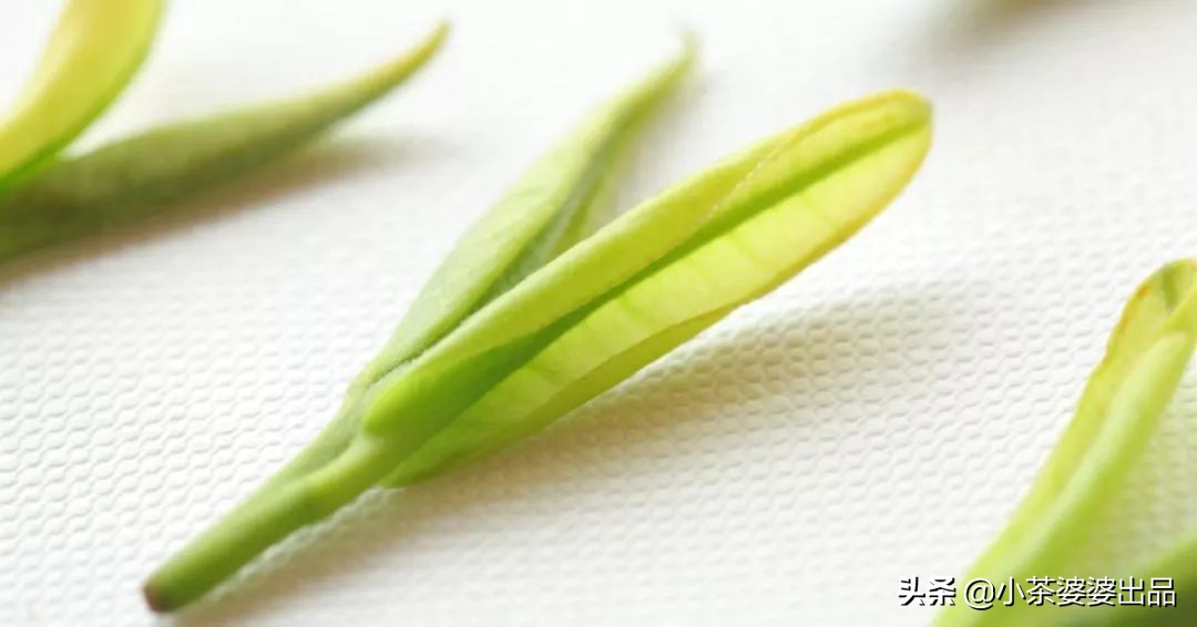 一般人不懂卻很重要的12個茶葉常識，建議收藏