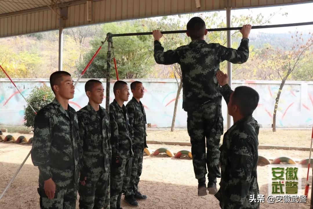 除了长得好看的，这些“专业的”也上交国家了！