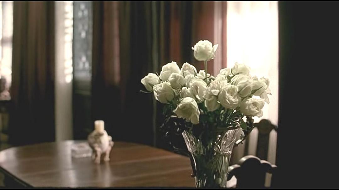 豆瓣8.9分《一个陌生女人的来信》：她为何被3个