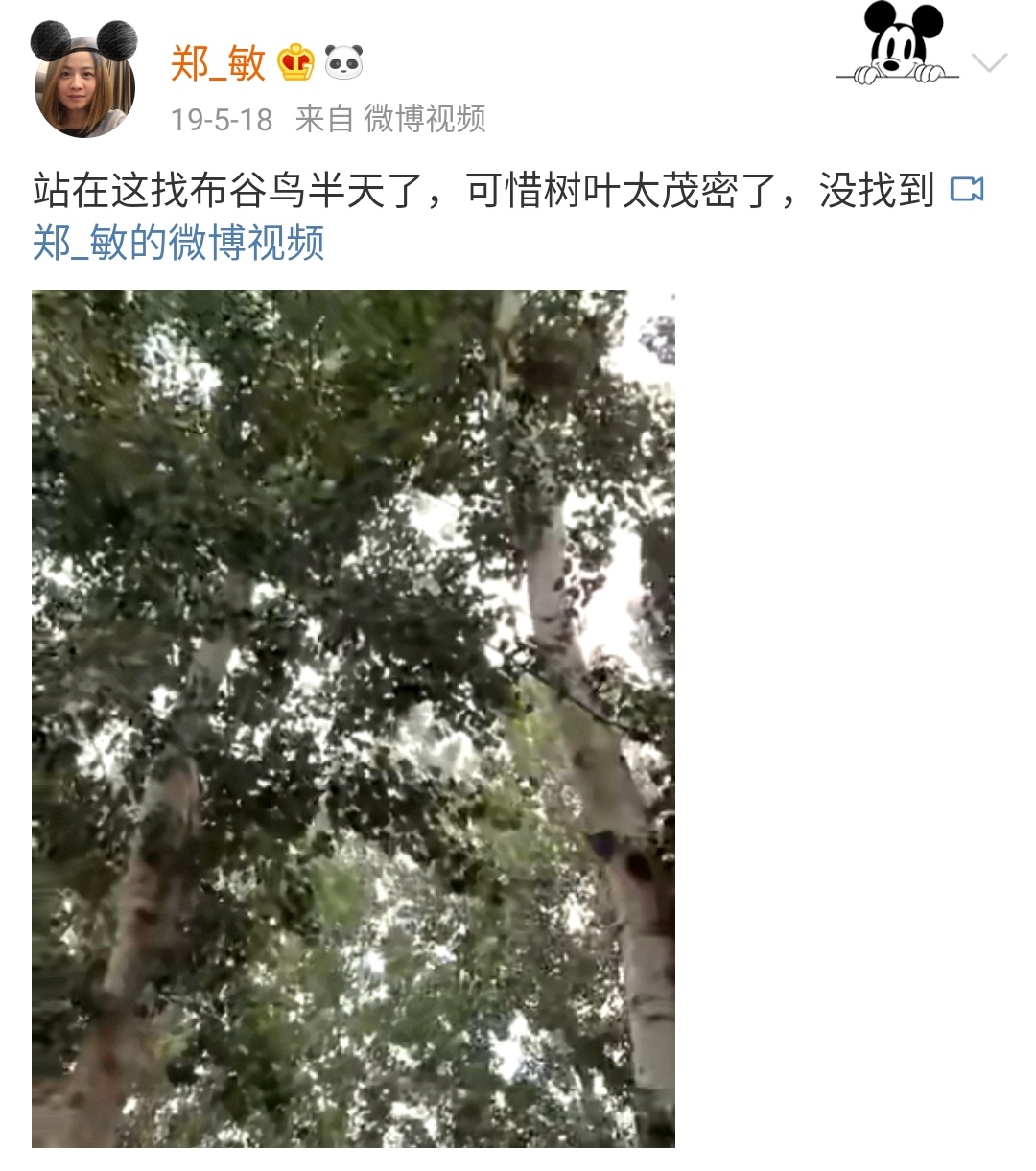 Zheng Min of Yue Yunpeng & " stannic marriage " 10 years: Small quick, one if see first, one's whole life one two-men