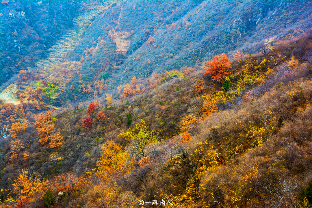 The most beautiful season of the Mutianyu Great Wall in Beijing, the mountains and wilds are dyed with forests, an amazing visual feast